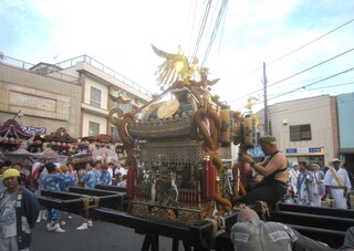 IMG_0274.JPG