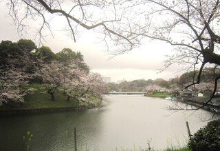 IMG_1740.JPG