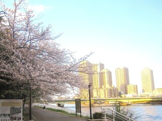 IMG_1804.JPG