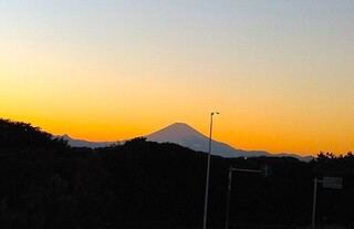 IMG_20240126_170635.jpg