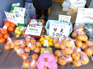 IMG_20240227_145752.jpg