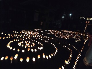 IMG_20241026_173121.jpg