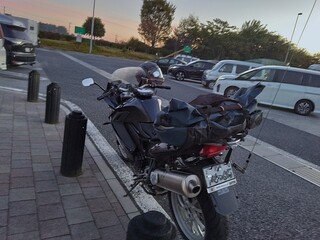 IMG_20241109_060409.jpg