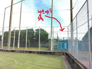 IMG_20241126_141300.jpg