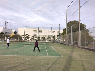 IMG_20241126_141312.jpg