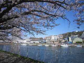 IMG_2256.JPG