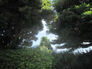IMG_5085.jpg