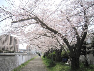 IMG_8013.JPG
