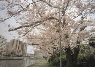 IMG_8015 (2).JPG