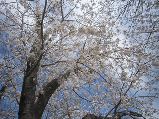 IMG_9770 (2).JPG